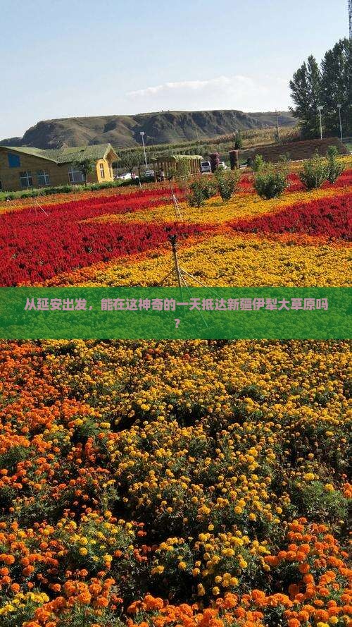 从延安出发，能在这神奇的一天抵达新疆伊犁大草原吗？