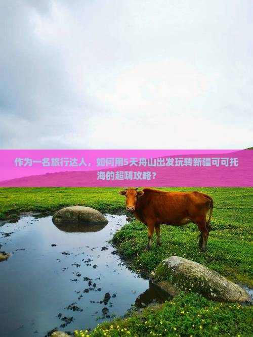 作为一名旅行达人，如何用5天舟山出发玩转新疆可可托海的超嗨攻略？
