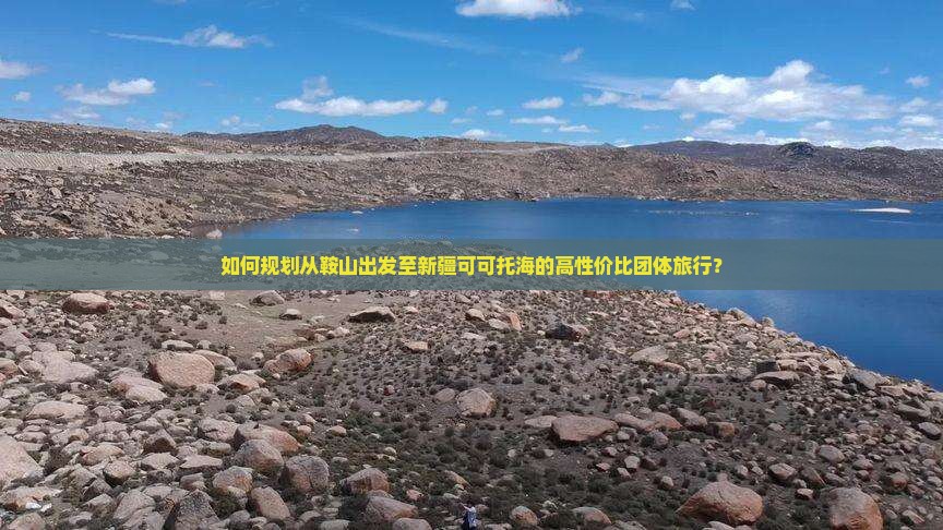 如何规划从鞍山出发至新疆可可托海的高性价比团体旅行？