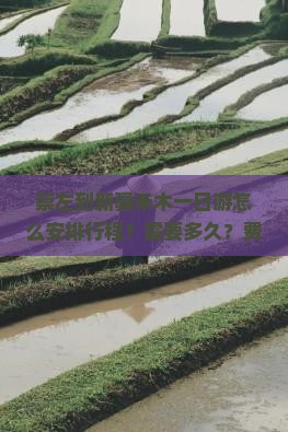 崇左到新疆禾木一日游怎么安排行程？需要多久？费用大概是多少？