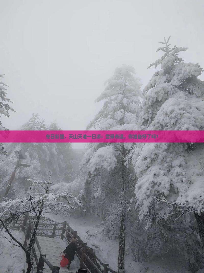 冬日新疆，天山天池一日游：雪景奇遇，你准备好了吗？