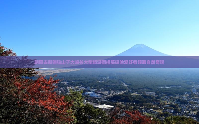 朝阳去新疆独山子大峡谷大型旅游团招募探险爱好者领略自然奇观