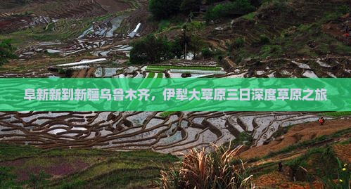 阜新新到新疆乌鲁木齐，伊犁大草原三日深度草原之旅