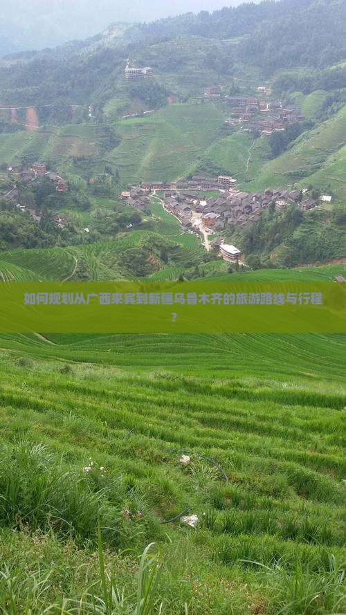 如何规划从广西来宾到新疆乌鲁木齐的旅游路线与行程？