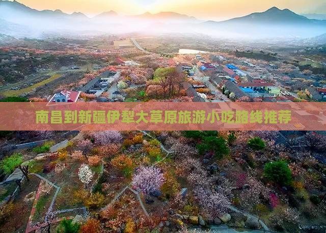南昌到新疆伊犁大草原旅游小吃路线推荐
