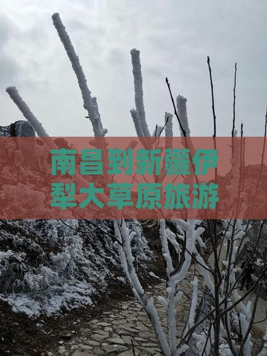 南昌到新疆伊犁大草原旅游小吃路线推荐