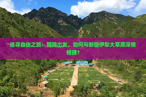 追寻自由之旅：醴陵出发，如何与新疆伊犁大草原深情相拥？