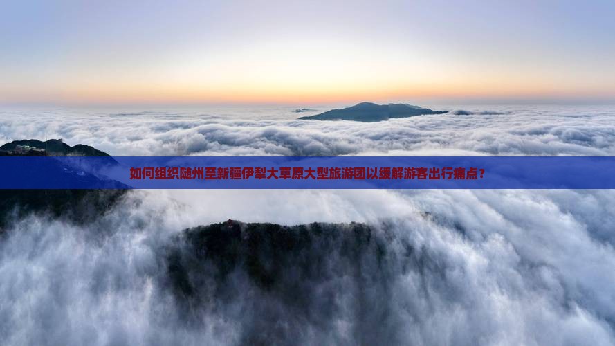 如何组织随州至新疆伊犁大草原大型旅游团以缓解游客出行痛点？
