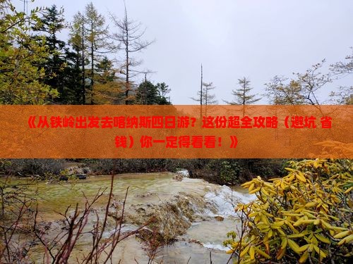 铁岭到新疆喀纳斯四日游