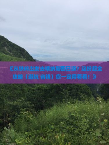 铁岭到新疆喀纳斯四日游