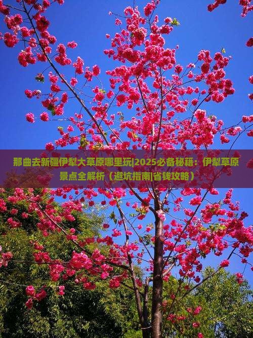 那曲去新疆伊犁大草原哪里玩