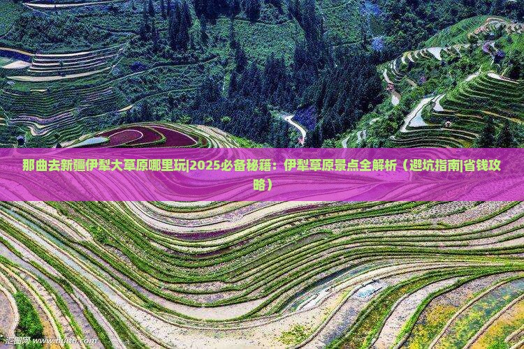 那曲去新疆伊犁大草原哪里玩