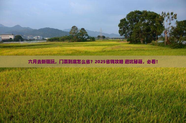 六月到新疆门票