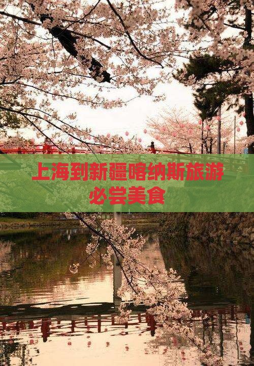 上海到新疆喀纳斯旅游小吃