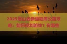眉山去新疆独库公路攻略