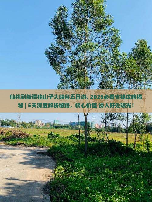 仙桃到新疆独山子大峡谷五日游