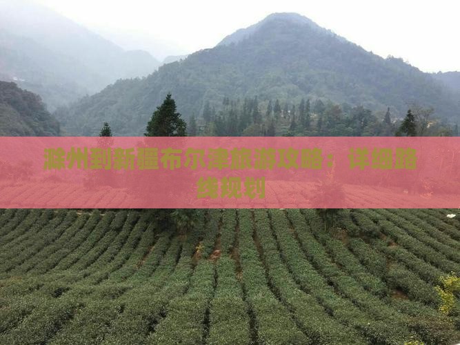 滁州到新疆布尔津一日