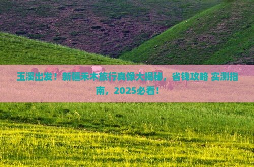 玉溪到新疆禾木旅行社