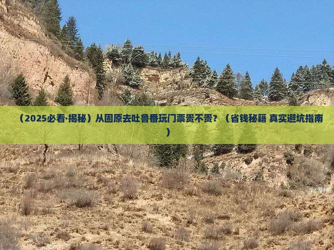 固原去新疆吐鲁番门票