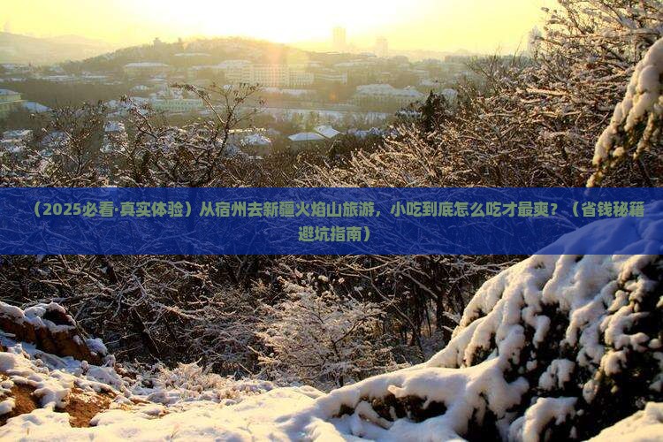 宿州到新疆火焰山旅游小吃