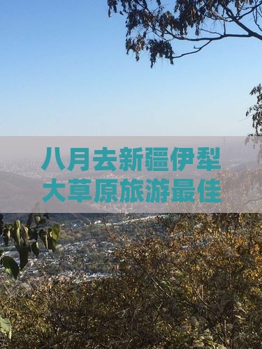 八月去新疆伊犁大草原旅游