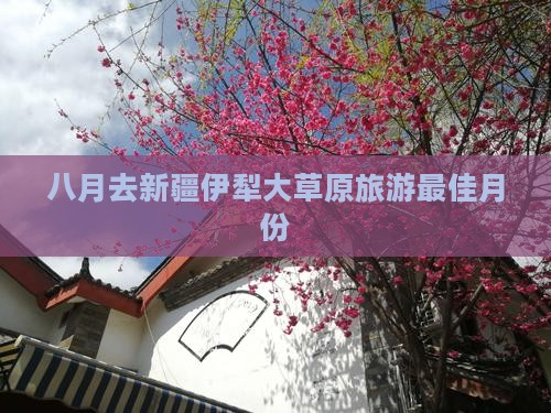 八月去新疆伊犁大草原旅游
