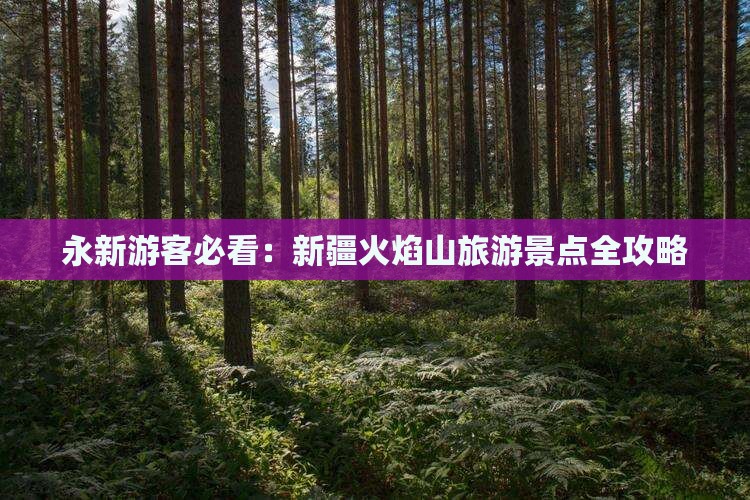 永新到新疆火焰山景点
