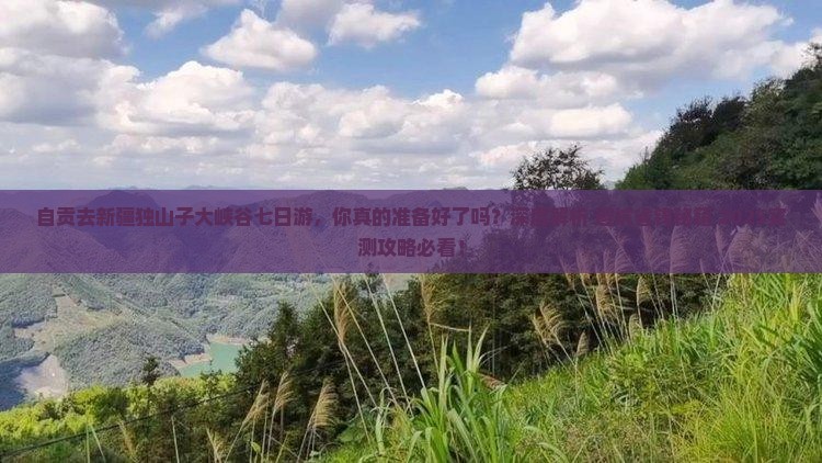 自贡去新疆独山子大峡谷七日游