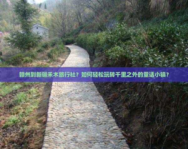 赣州到新疆禾木旅行社