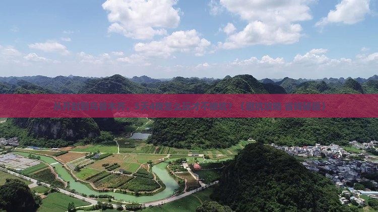 开封到新疆乌鲁木齐旅行社