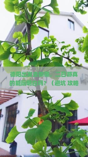德阳去新疆二日游