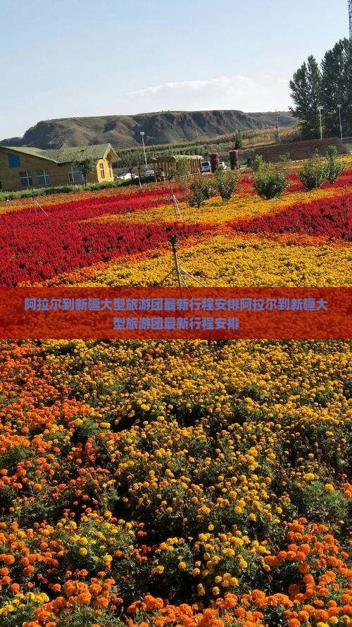 阿拉尔到新疆大型旅游团