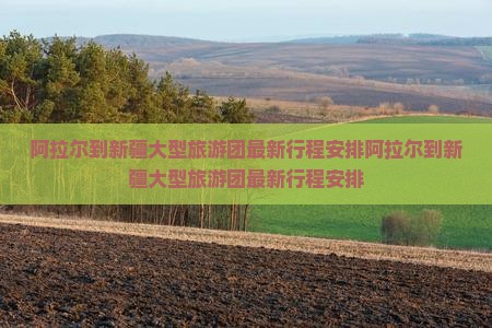 阿拉尔到新疆大型旅游团