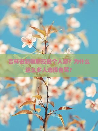 吉林去新疆那拉提个人游