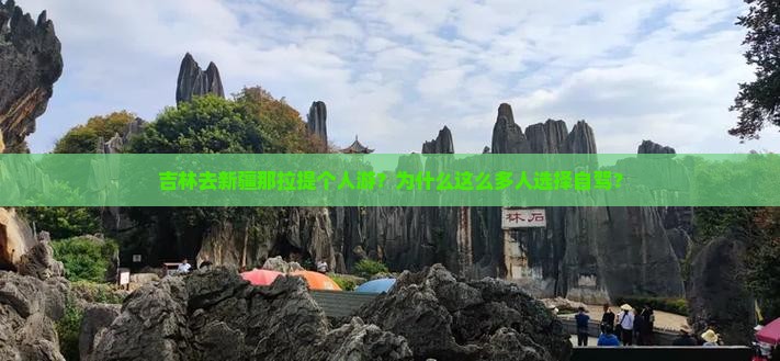 吉林去新疆那拉提个人游