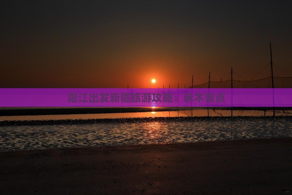 阳江到新疆禾木景点