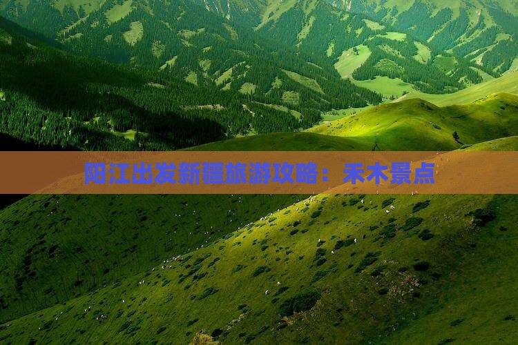 阳江到新疆禾木景点