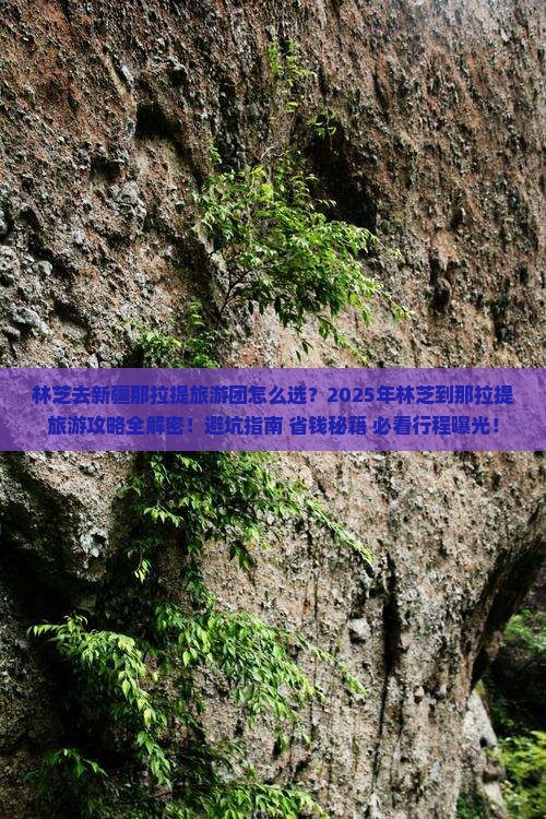 林芝去新疆那拉提大型旅游团