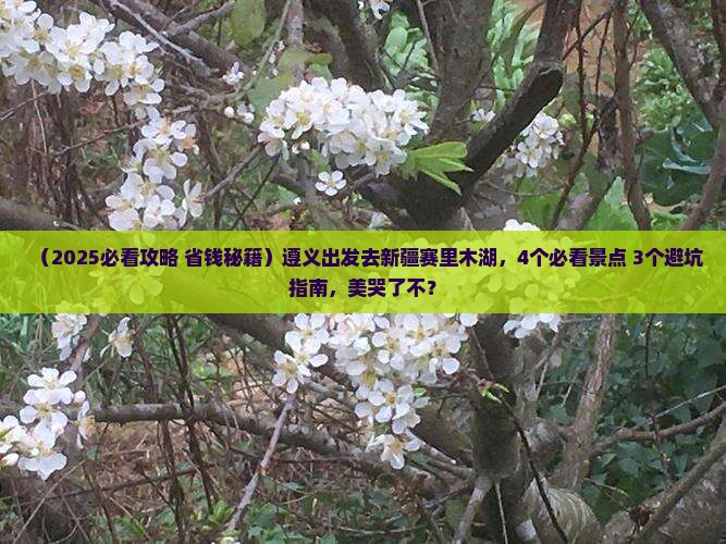 遵义去新疆赛里木湖景点