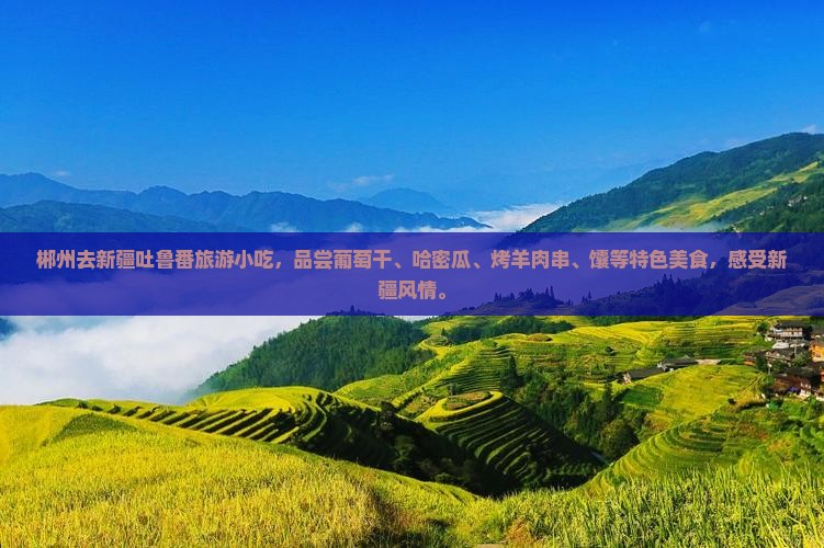 郴州去新疆吐鲁番旅游小吃