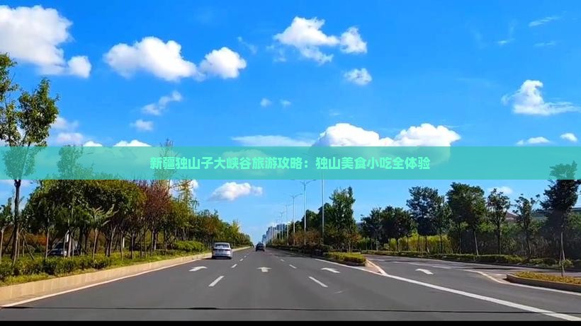 来宾去新疆独山子大峡谷旅游小吃