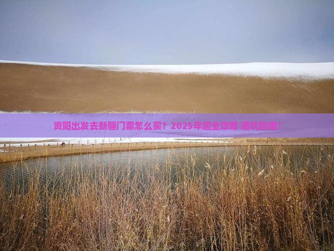 资阳去新疆门票
