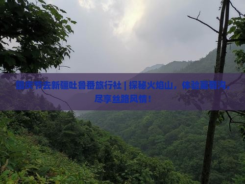 国庆节去新疆吐鲁番旅行社