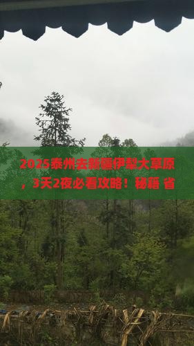 泰州去新疆伊犁大草原攻略