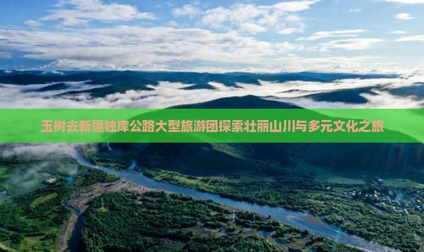 玉树去新疆独库公路大型旅游团