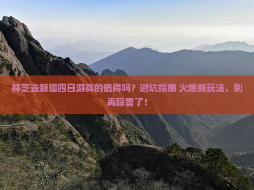 林芝去新疆四日游