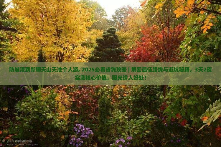 防城港到新疆天山天池个人游
