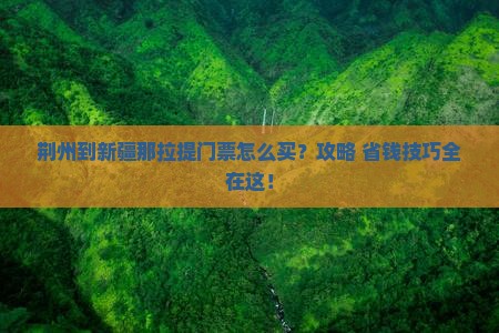 荆州到新疆那拉提门票