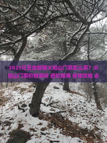 元旦去新疆火焰山门票
