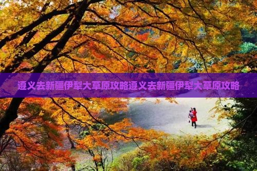 遵义去新疆伊犁大草原攻略